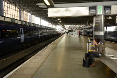 DSC_1239 (Large).JPG